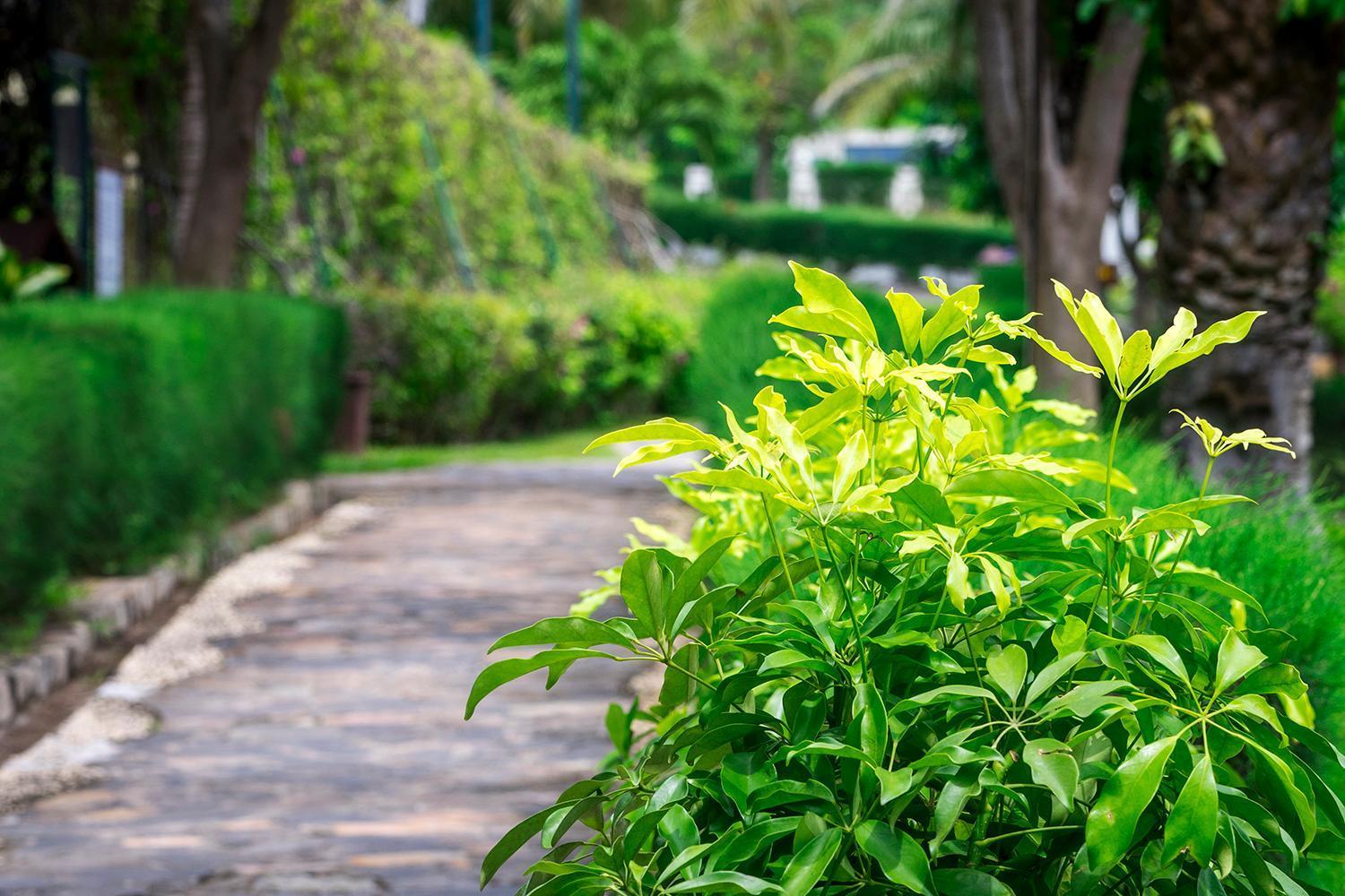 Romana Resort & Spa Mũi Né Kültér fotó